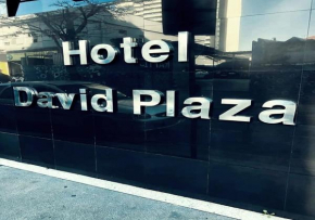 Гостиница David Plaza Hotel  Озаску